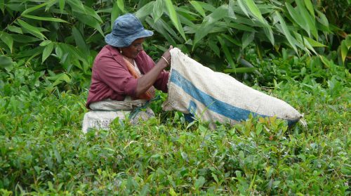 Financial Assistance